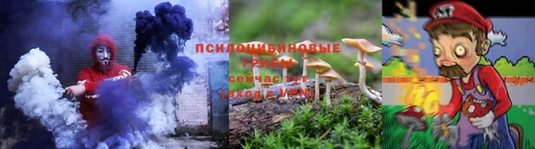 молекула духа Алзамай