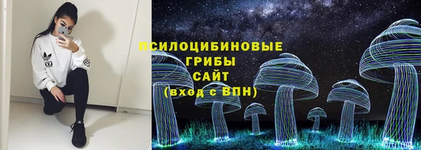 молекула духа Алзамай