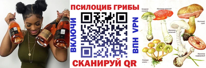 Псилоцибиновые грибы прущие грибы даркнет какой сайт Сосновоборск закладки